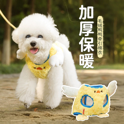 狗狗衣服秋冬款泰迪比熊雪纳瑞小狗猫咪宠物小型犬外出可牵引保暖