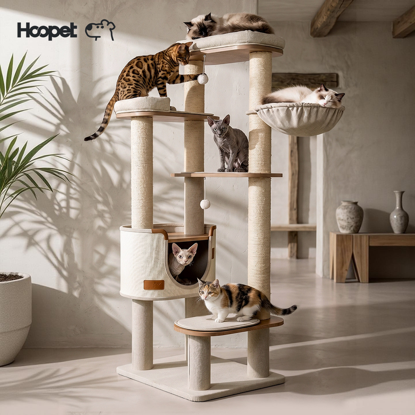 Hoopet猫爬架大型猫爬柱大猫高款猫架子猫窝一体猫咪攀爬架不占地