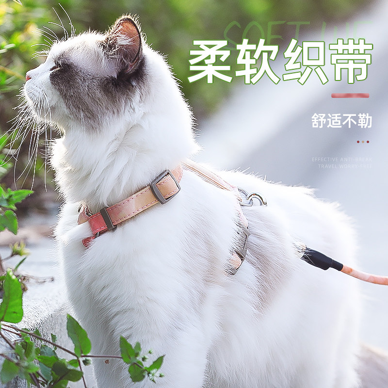 猫咪渐变胸背带宠物背心溜猫链子成幼猫咪外出防挣脱工式宠物背带