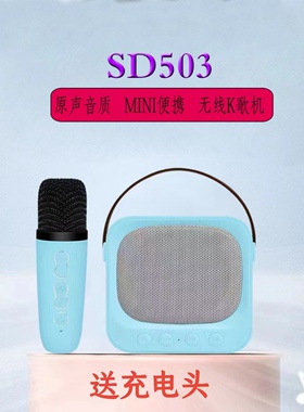 SDRD SD503蓝牙音响单麦克风无线K歌手机链接便携家用户外唱歌