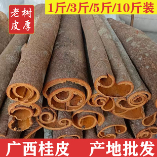 广西桂皮香料大料 新货皮厚卤料调料香辛料无硫干货 中大通肉桂皮