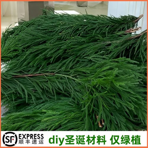 圣诞树花环diy绿植材料大型节日