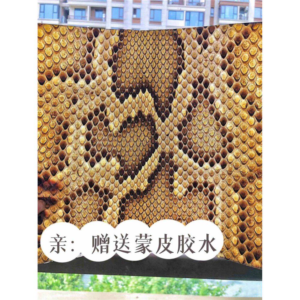 金花蟒皮三弦热瓦普扎木念大胡蟒皮六弦大鼓蟒皮大块皮子二胡尾部