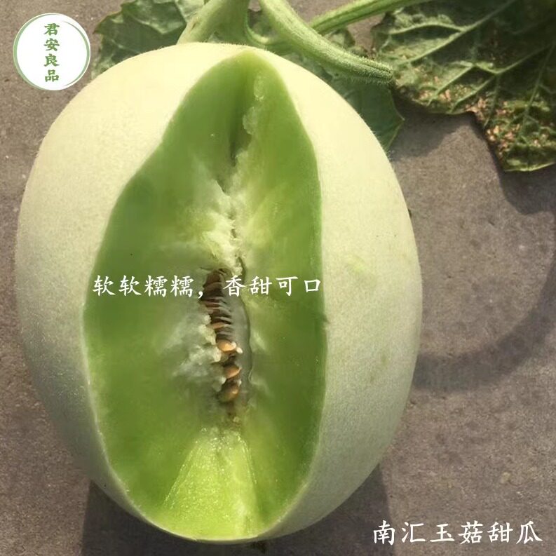 上海特产水果正宗南汇玉菇甜瓜 10斤中瓜5-6个 青皮绿肉 软糯清甜