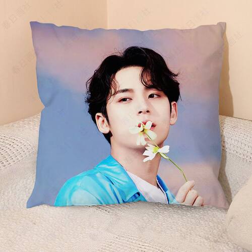 次团金珉奎抱枕kpop十七Mingyu