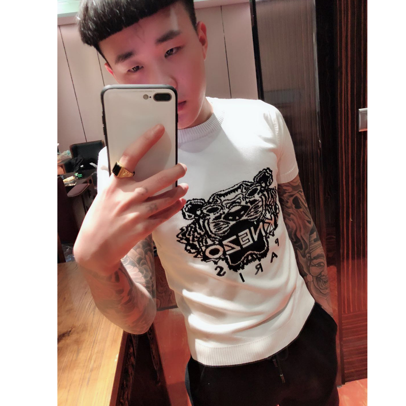 秋季快手红人同款刺绣毛衣短袖男社会人精神小伙针织上衣网红2018