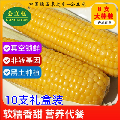 公立屯香甜糯玉米真空保鲜0添加