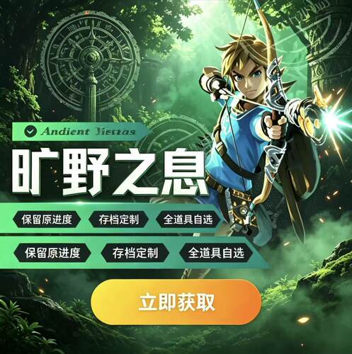 NS2塞尔达传说旷野之息存档修改 定制通关荒野之息大师剑光之弓