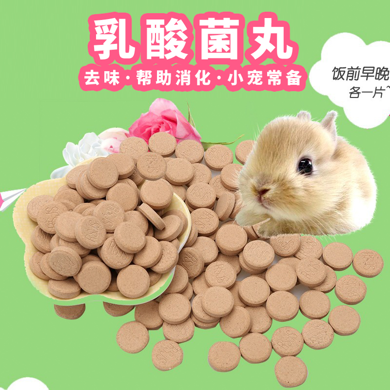 兔子仓鼠荷兰猪小动物去味