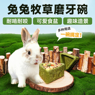 再再兔兔磨牙牧草碗兔子荷兰猪零食造景玩具专用耐磨食盆可食用品