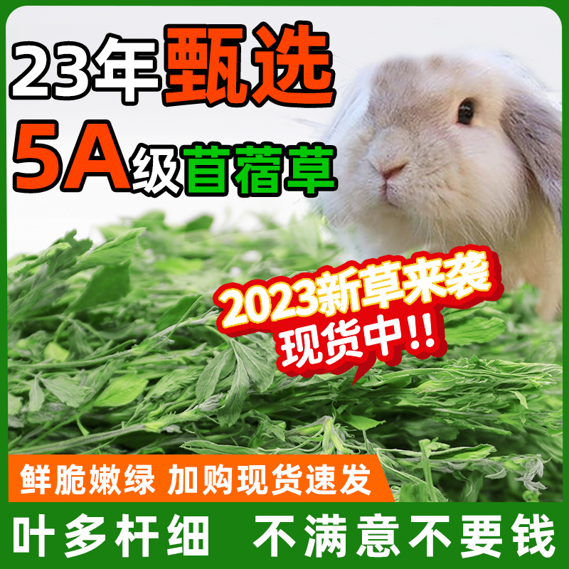 苜蓿草干草兔子粮草紫花苜宿草幼兔粮饲料专用豚鼠龙猫吃的粮食用