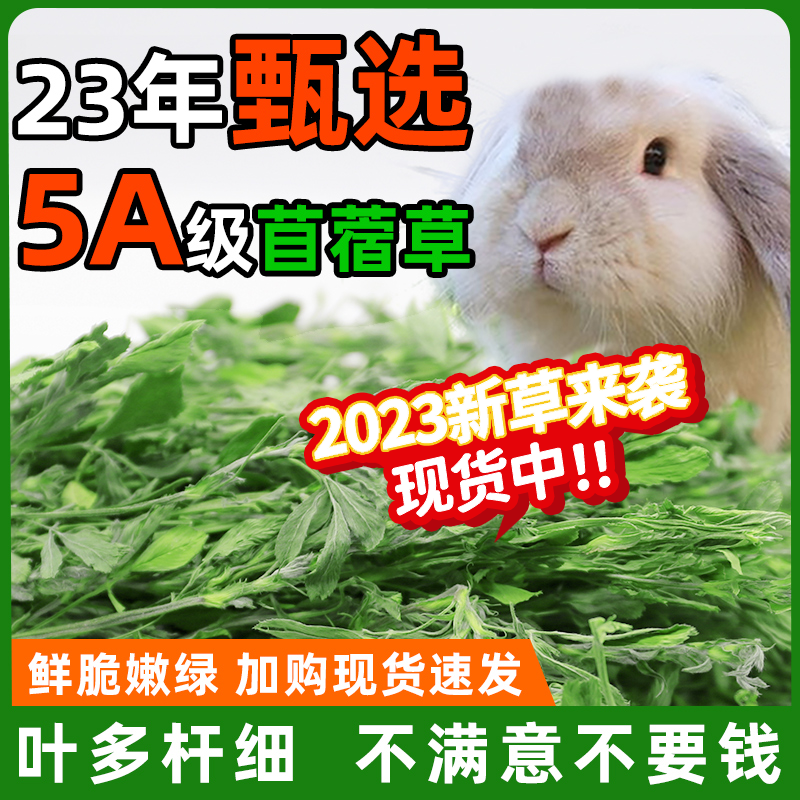 新草来袭兔友强推苜蓿草拒绝挑嘴