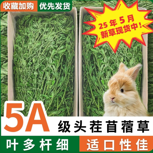 再再25年新苜蓿草来袭！拒绝挑嘴
