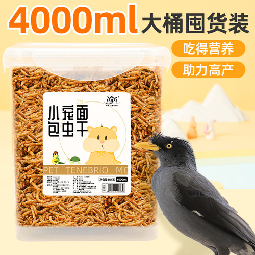 好吃不挑食新鲜营养八哥面包虫干