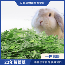 包邮绿色新苜蓿烘烤紫花苜蓿草干草兔粮兔子龙猫粮食荷兰猪兔草
