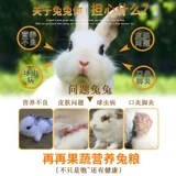 Фруктовые и овощные питания кролики