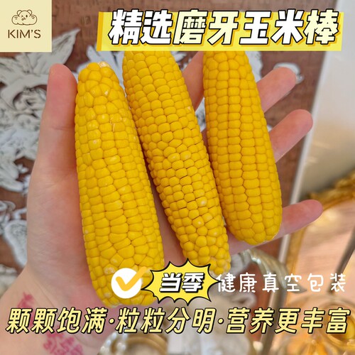 多金小熊精选仓鼠零食磨牙玉米棒花枝鼠磨牙棒饲料粮食当季玉米