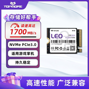 达墨M.2固态硬盘狮子座2230高速PCIe3.0稳定SSD掌机扩容Steamdeck