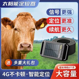 牛羊定位器gps追踪神器手机放牧专用追踪仪马北斗卫星放牛用防丢