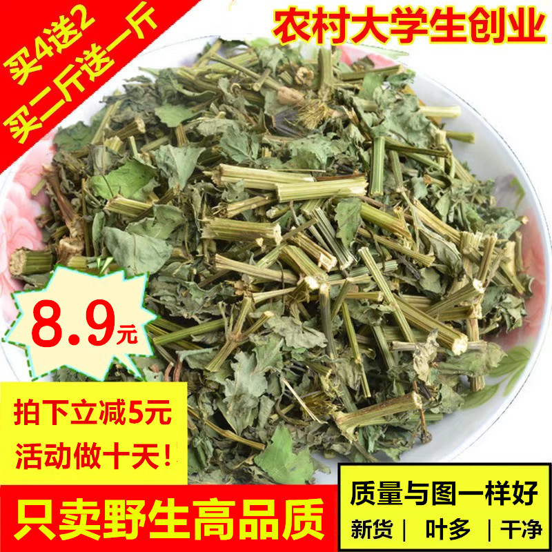 野生鬼针草新货中药材三叶鬼针草茶干品包邮有叶有杆500g250g