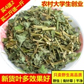 野生鬼针草新货中药材三叶鬼针草茶干品 包邮 有叶有杆500g250g
