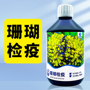 深海奇缘珊瑚检疫水杀红虫扁虫可检疫灭红虫及珊瑚寄生虫