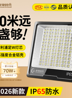 led投光灯户外照明灯工程探照灯室外防水强光工地工业招牌投射灯