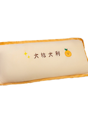 有拉链可拆洗水果长条枕头PP棉