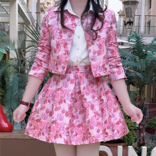 甜美上衣显瘦高腰百褶蓬蓬半身裙 新款 气质时尚 小香风套裙春秋韩版