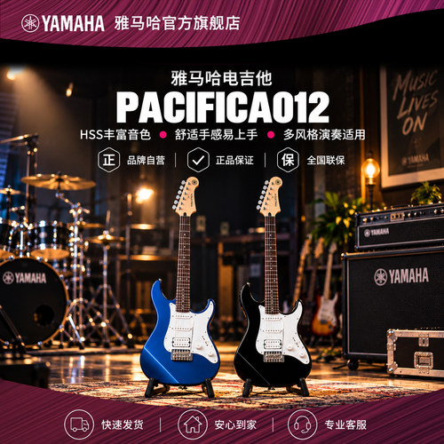Yamaha/雅马哈官方旗舰店PAC012