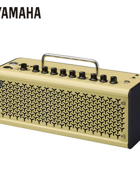 Yamaha/雅马哈 THR10II 吉他音箱