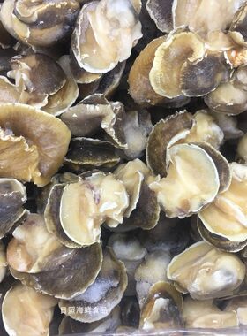 新鲜速冻海螺玉螺肉性价比高螺头