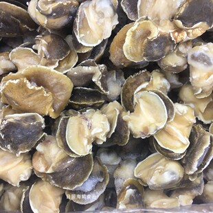 香螺肉 新鲜冷冻玉螺肉 响螺野生大海螺肉东海鲍螺肉500g特级螺头