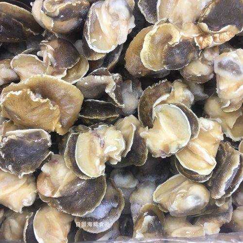新鲜速冻海螺玉螺肉性价比高螺头