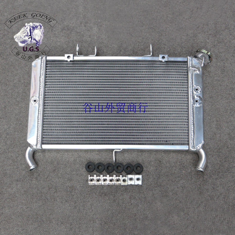 适用YAMAHA雅马哈MT09/FZ09 13-14-15-16年水箱散热器总成/水冷器