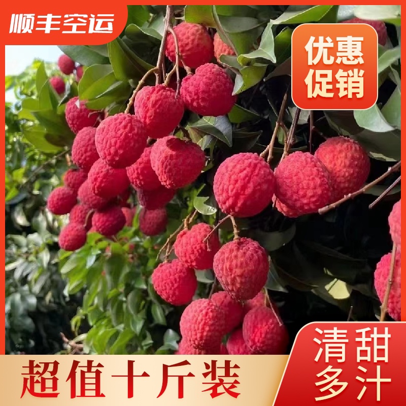 广州增城基岗仙进奉新鲜小核大荔枝现摘现发当季水果10斤包邮送礼