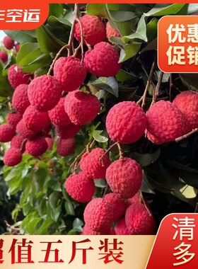 仙进奉新鲜大荔枝当季水果包邮