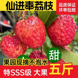 正宗广州增城基岗仙进奉荔枝新鲜小核现摘现发当季水果甜多汁送礼