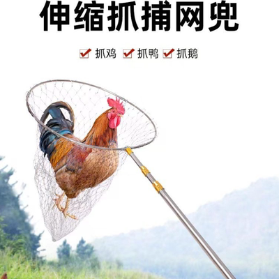 户外抓鸡神器多功能捕鸡套网