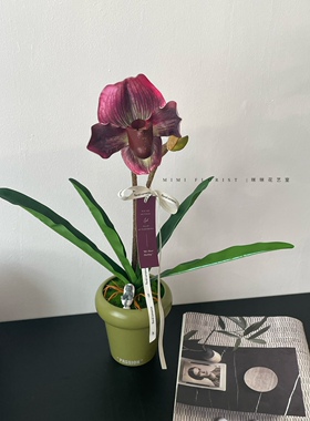 兜兰盆栽仿真花假花摆件客厅桌面花艺装饰摆设花束ins卧室家居