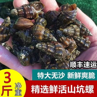 粤北纯野生山坑螺3斤溪水花螺美味扭螺石螺新鲜现捞包活鲜甜爽口
