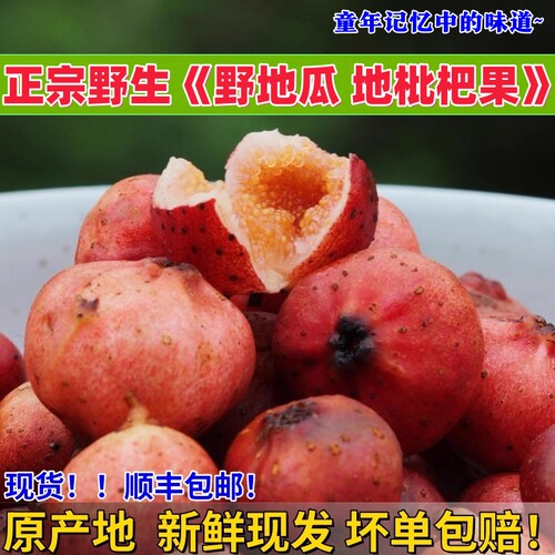 云贵川野地瓜现挖当季超甜水果