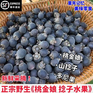 广东野生桃金娘童年捻子水果泡酒山棯子果当天采摘岗捻天然多尼果