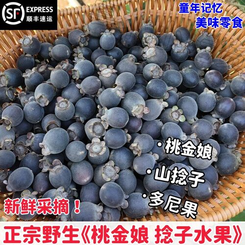 顺丰包邮野生捻子桃金娘泡酒专用