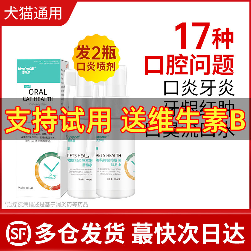 猫口炎狗口腔溃疡猫咪牙龈消炎