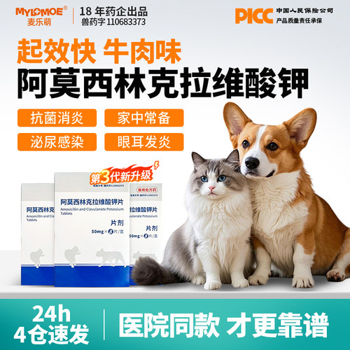 宠物阿莫西林克拉维酸钾猫咪消炎