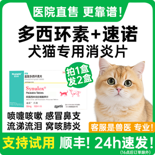 盐酸多西环素猫咪感冒药鼻支专用打喷嚏流鼻涕速诺消炎片猫特效药