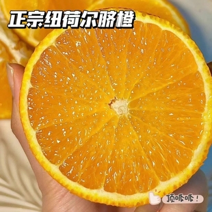 湖北秭归脐橙纽荷尔长红现摘现发 普通箱简装  自己吃9斤净重