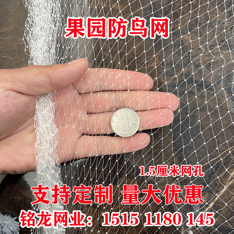 防鸟网1.5厘米网孔果园防鸟用网樱桃葡萄园防鸟网稻谷地防鸟用网