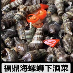 正宗福鼎特产美食海螺泥螺海螺蛳海瓜子丁螺下酒菜